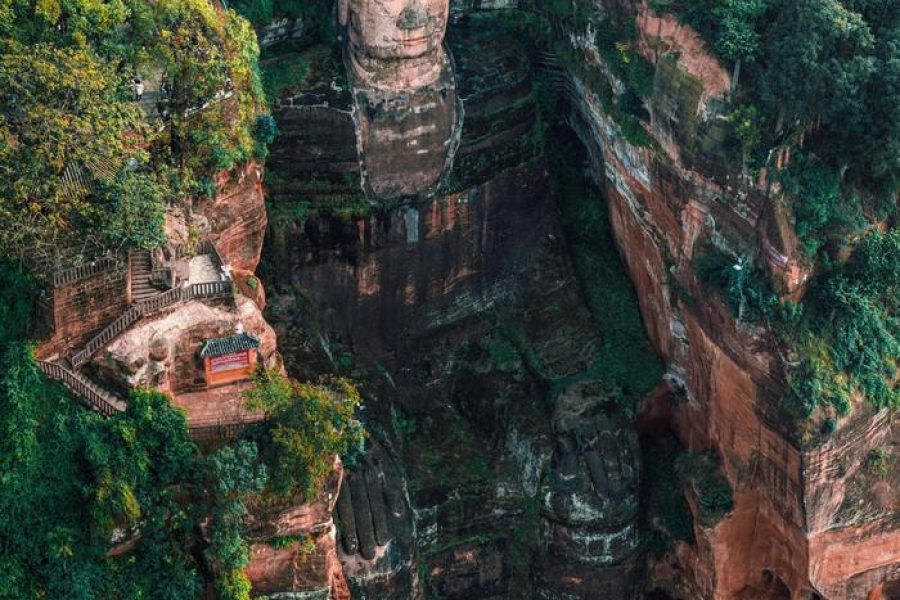 Leshan Buddha and Panda 1-Day (Panda breeding center)